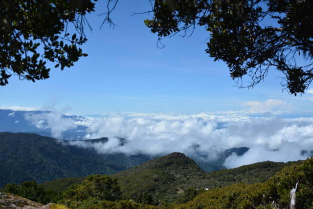 istock Mountains in Costa Rica 1317473317