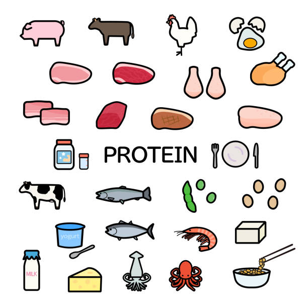 12,719 Animal Protein Illustrations & Clip Art - iStock | Chicken, Vegetables, Salmon 12,719 Animal Protein Illustrations & Clip Art - iStock | Chicken, Vegetables, Salmon