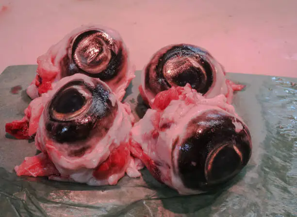 Photo of Eyeballs from a Tuna, Tokyo Fish Market