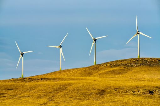 Windfarm in rural Alberta Canada