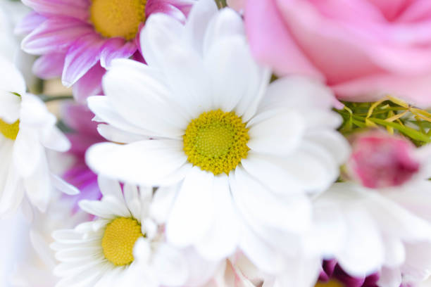 istock Background photo white flowers stock 1317477139