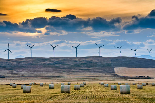 アルバータ州カナダの田舎 - alternative energy wind turbine environment energy ストックフォトと画像
