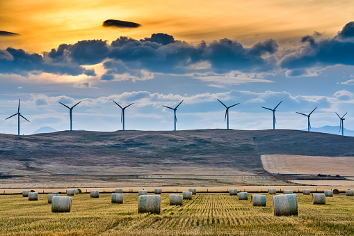 Windfarm in rural Alberta Canada