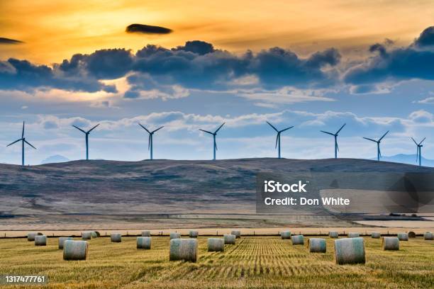 Alberta Canada Countryside Stock Photo - Download Image Now - Canada, Agriculture, Sustainable Resources