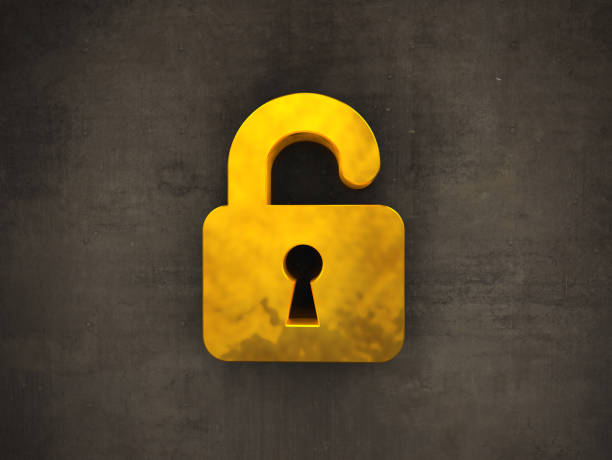istock Golden Padlock Symbol on The Wall 1317482928
