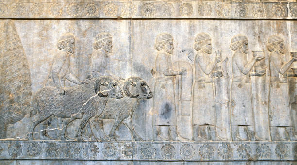 Bas-relief with foreign ambassadors, Persepolis, Iran