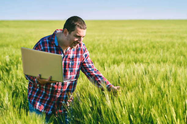 istock Young farmer examining his agricultural field and using laptop 1317486994