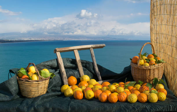 istock Fruits and landscapes from Italy 1317487079