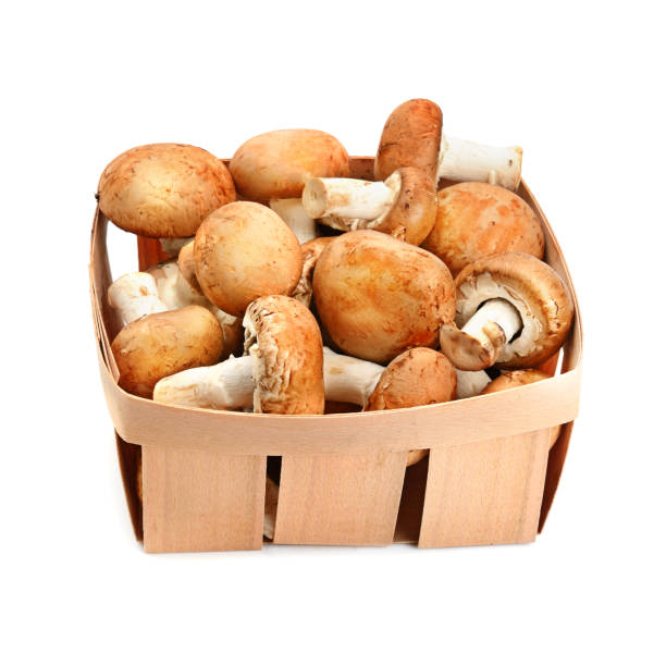 istock Fresh champignons in a wicker basket isolated on a white background. 1317487479