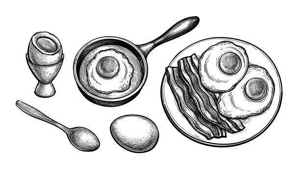 Fried and soft boiled eggs. Fried and soft boiled eggs. Breakfast set. Ink sketch of breakfast isolated on white background. Hand drawn vector illustration. Retro style. bacon stock illustrations