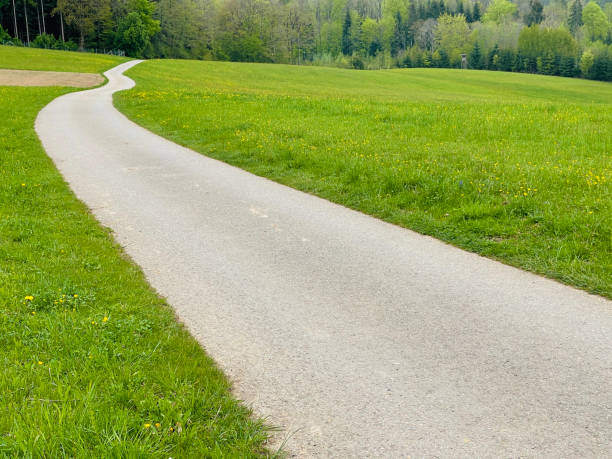 istock Lush green meadow  and a winding road in spring 1317492707