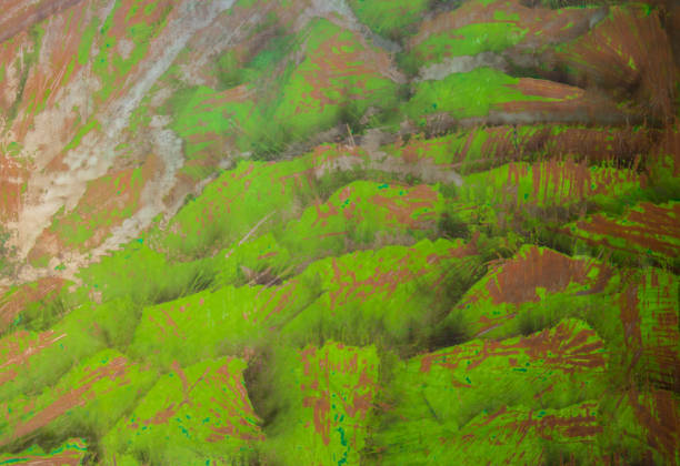 istock Green wall with rust and peeled paint 1317497130