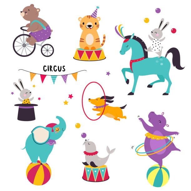 illustrazioni stock, clip art, cartoni animati e icone di tendenza di animali da circo che eseguono trucchi con palle giocoleria di vitello marino e ippopotamo con hula hoop vector set - circus animal