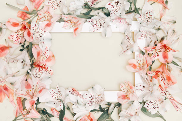 istock Floral composition with beautiful alstroemeria flowers and white frame on pastel background. Nature concept. Top view. Flat lay 1317499292