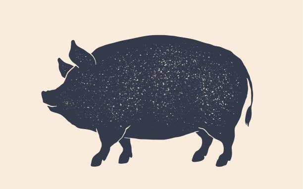 豚肉、豚。ヴィンテージレトロプリント、シルエット豚 - バーベキューグリル イラスト点のイラスト素材／クリップアート素材／マンガ素材／アイコン素材