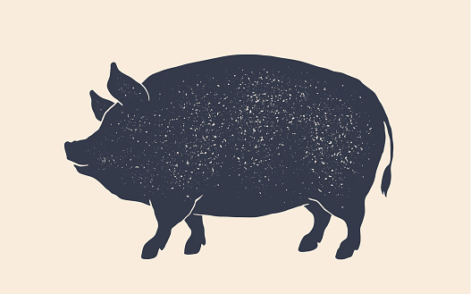 Pork, pig. Vintage retro print, black white pig drawing, grunge old school style. Isolated black silhouette pig on white background. Side view profile. Vector Illustration
