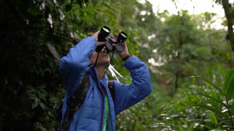 Young woman observing using a binoculars in a forest