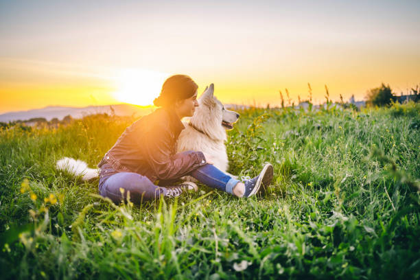 istock Spending a day with a dog in nature 1317503725