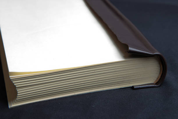 istock The process of book binding; leather book spine, without the hard cover 1317503833