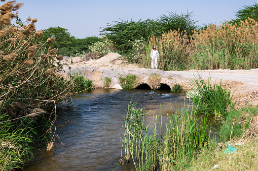 Jeddah, Saudi Arabia, March 08, 2021: The river is located in Al-Khurma Valley (Sanabil district)  40 km South of Jeddah. This beautiful river in Jeddah is actually a torrent stream nevertheless locals called it \