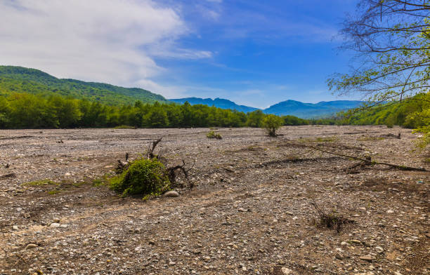 Dry riverbed in the mountains in spring