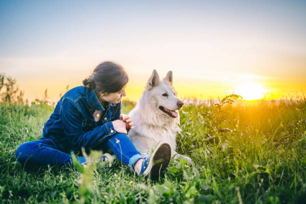 istock Spending a day with a dog in nature 1317504821