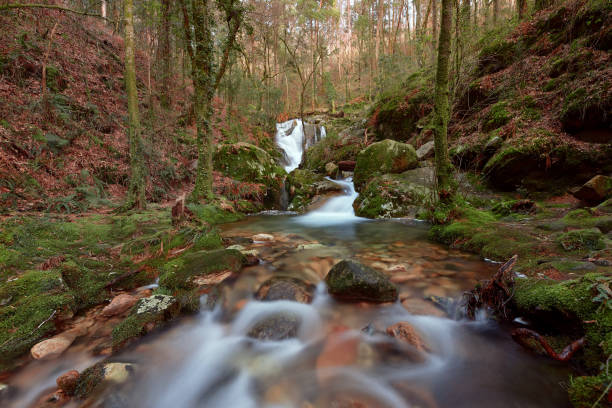 istock Small waterfall on the Rio de la Fraga in Galicia, Spain. 1317505247