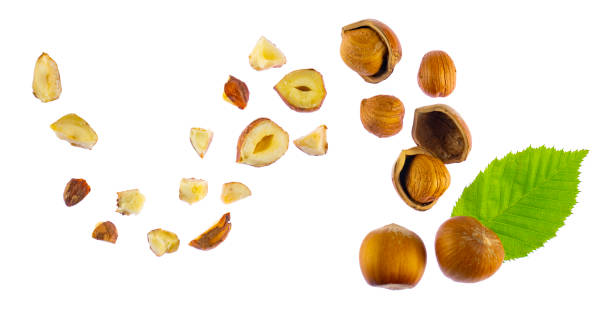 Falling hazelnuts isolated on white background, banner. Flat lay composition of hazelnuts: whole, in half, with leaf, crushed and in pieces. Creative design for packaging, clipping path. stock photo