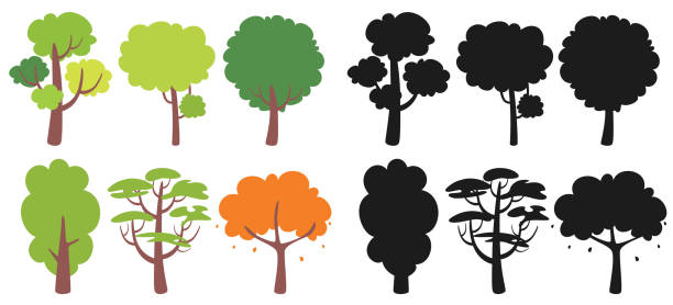набор различных плоских деревьев - bark tree autumn tree trunk stock illustrations