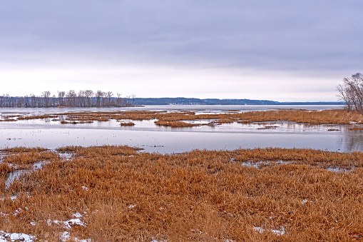 Bayou Along the Mississippi River in Winter near Fulton, Illinois