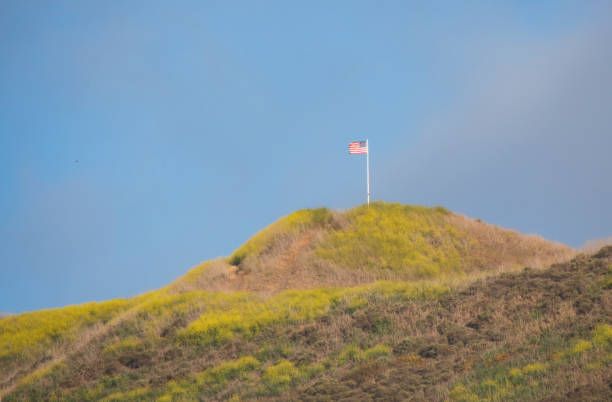 istock American Flag Atop Wildflower Hill 1317507565