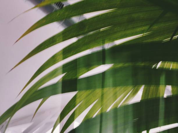 istock Palms on the glass 1317507819