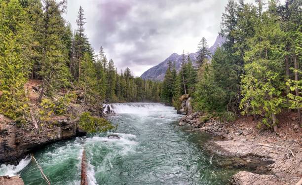 istock River in Glacier National Park 1317508017