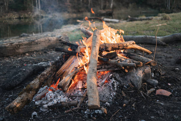 istock Fireplace in nature with wood and embers ready for grilling 1317508964