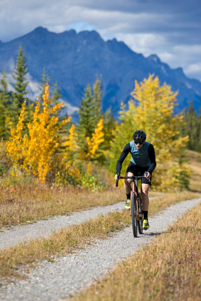 istock Gravel Road Bicycle Ride 1317509043