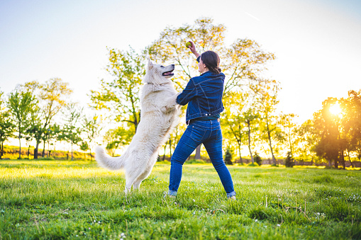 Young woman playing throw and catch with her dog in the public park