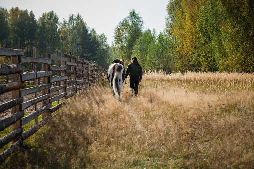 A young girl leads her horse by the bridle along a path along the fence.