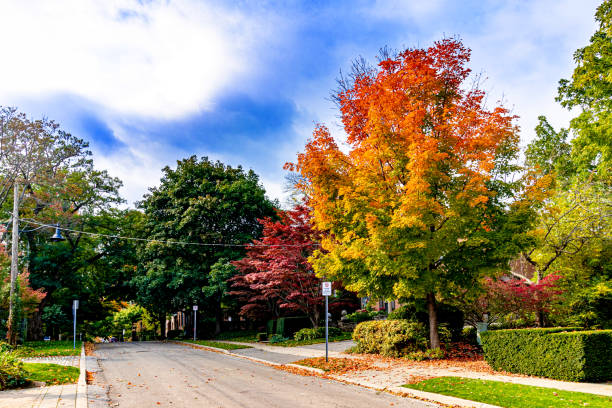 istock Beautiful and typical Fall day in Central Canada, ON, Canada 1317514514