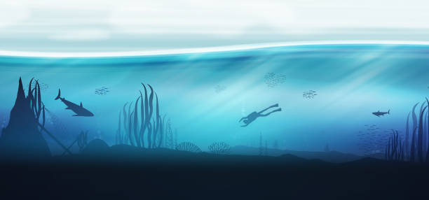 подводный океан сцены фоне рифов с аквалангистом - wildlife aquatic beauty in nature tropical climate stock illustrations