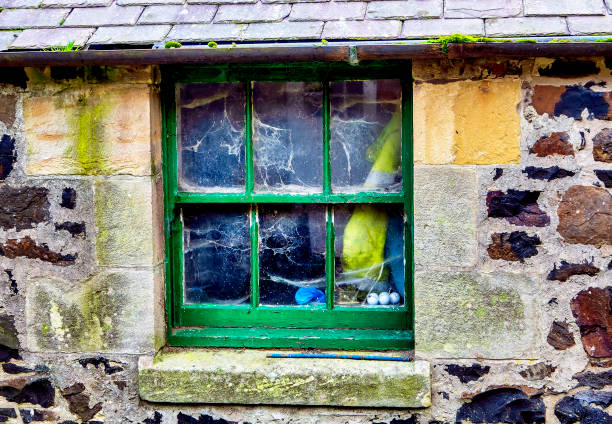 istock Cobwebs in the dusty window 1317515738