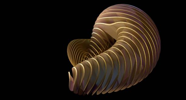 Abstract image of the spiral pattern of a tropical shell.