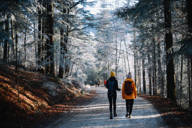 пешие прогулки женщин по лесу - winter hiking стоковые фото и изображения