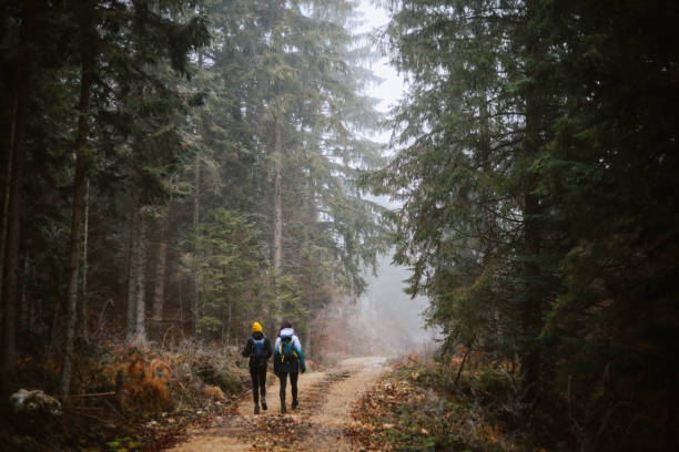 istock Women hiking through the forest 1317518789