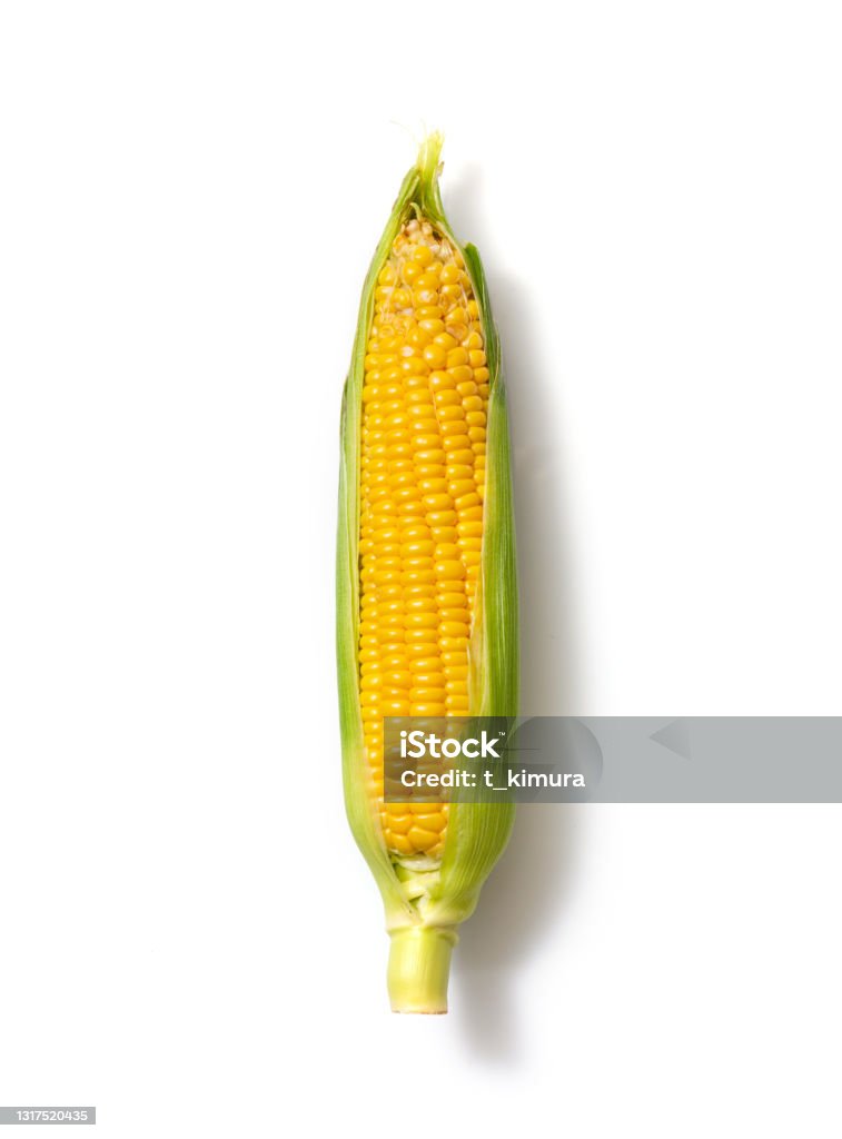 Corn isolated on a white background Corn Stock Photo