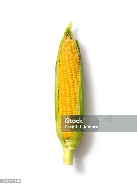 Corn Isolated On A White Background Stock Photo - Download Image Now - Corn, Corn - Crop, White Background