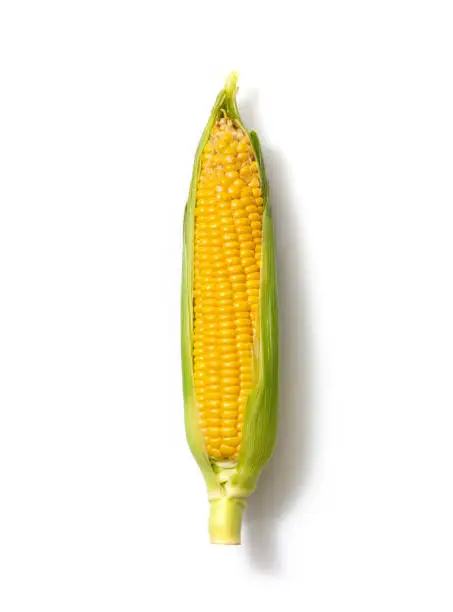 Photo of Corn isolated on a white background