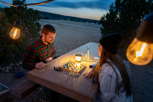Young Couple Out Camping Playing Chess Together At A Picnic Table With Their Dog, High Angle View