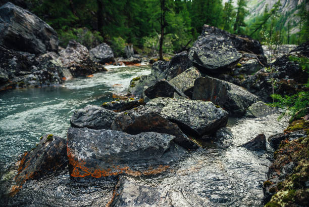 pintoresco fondo natural de arroyo de aguas cristalinas turquesas entre rocas con musgos y líquenes. paisaje montañoso atmosférico con piedras musgosas en arroyo de montaña transparente. hermoso arroyo de montaña. - flowing water stream moss river fotografías e imágenes de stock