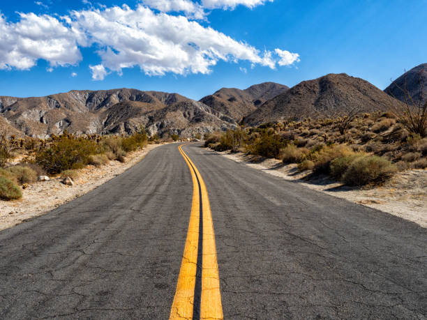 Road in Big Bend National Park