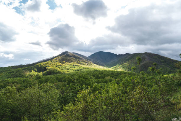 istock Beautiful landscape mountains in Tennessee 1317526357